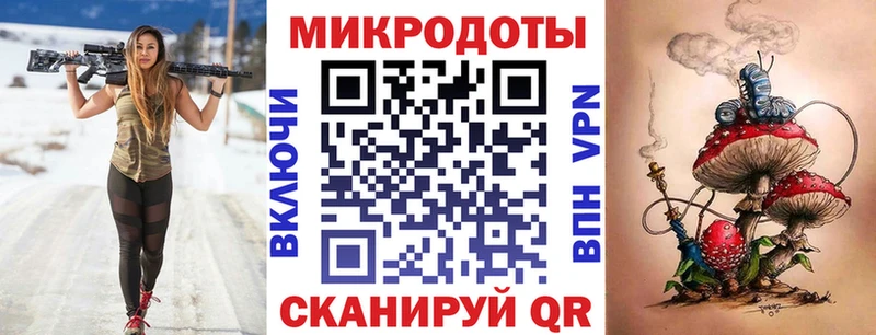 Галлюциногенные грибы Psilocybe  Заводоуковск 