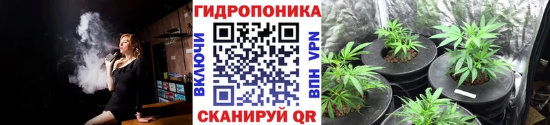 Конопля сатива  цена наркотик  Заводоуковск 